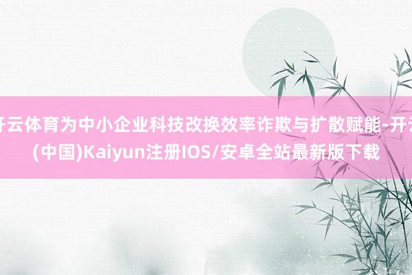 开云体育为中小企业科技改换效率诈欺与扩散赋能-开云(中国)Kaiyun注册IOS/安卓全站最新版下载