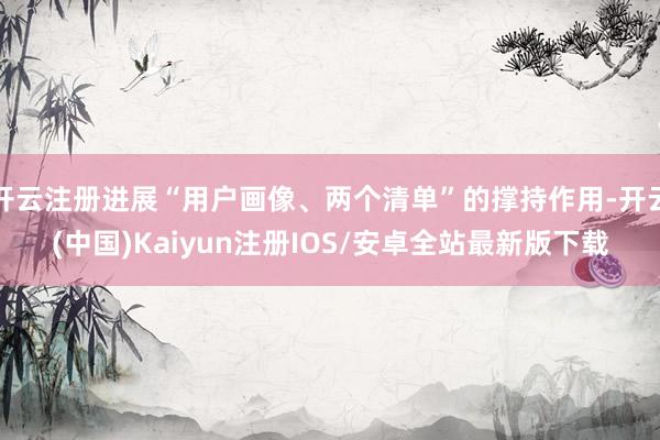 开云注册进展“用户画像、两个清单”的撑持作用-开云(中国)Kaiyun注册IOS/安卓全站最新版下载