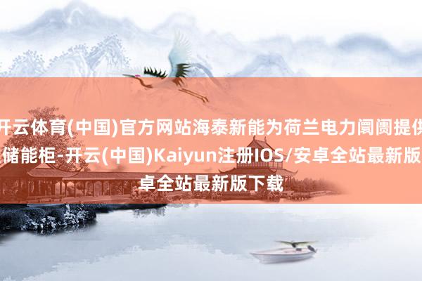 开云体育(中国)官方网站海泰新能为荷兰电力阛阓提供大型储能柜-开云(中国)Kaiyun注册IOS/安卓全站最新版下载