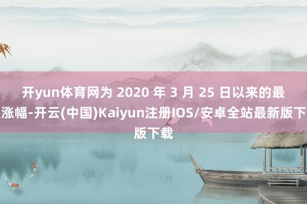开yun体育网为 2020 年 3 月 25 日以来的最大涨幅-开云(中国)Kaiyun注册IOS/安卓全站最新版下载