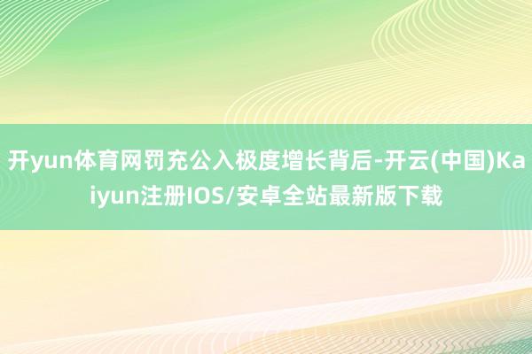开yun体育网罚充公入极度增长背后-开云(中国)Kaiyun注册IOS/安卓全站最新版下载