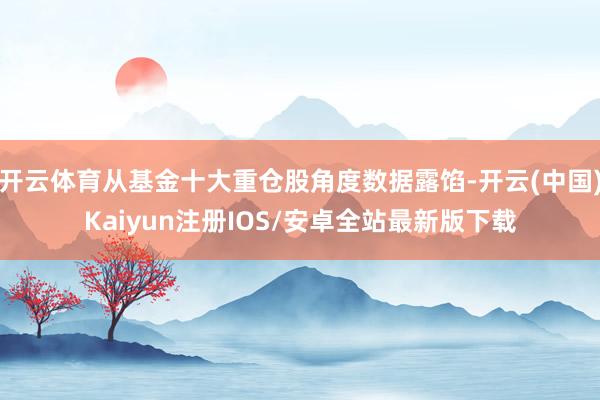 开云体育从基金十大重仓股角度数据露馅-开云(中国)Kaiyun注册IOS/安卓全站最新版下载