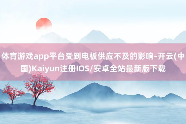 体育游戏app平台受到电板供应不及的影响-开云(中国)Kaiyun注册IOS/安卓全站最新版下载